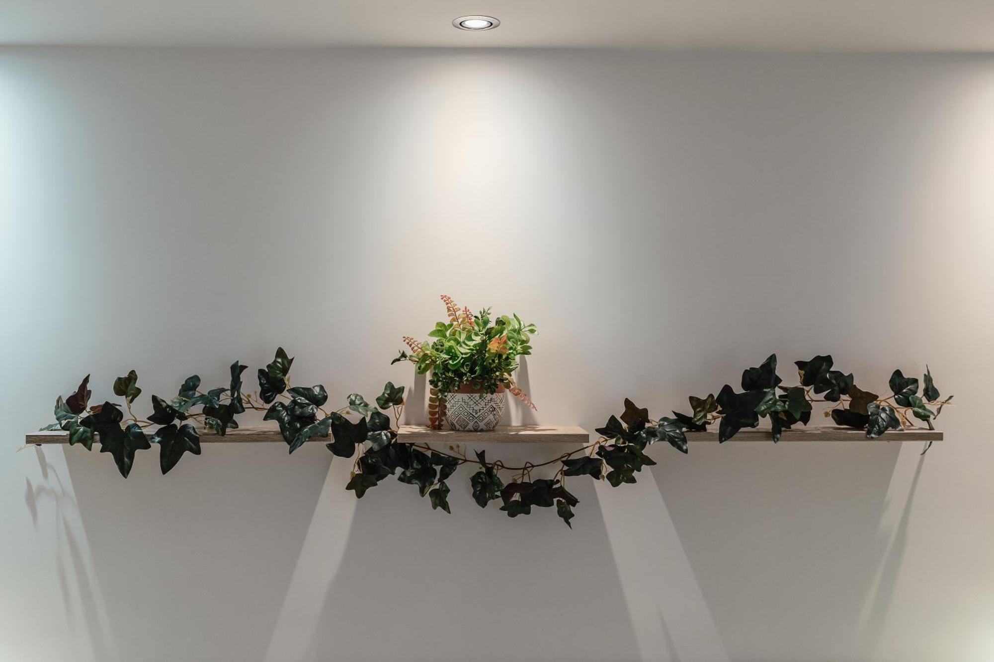 קטנזארו Zaro Suites B&B מראה חיצוני תמונה